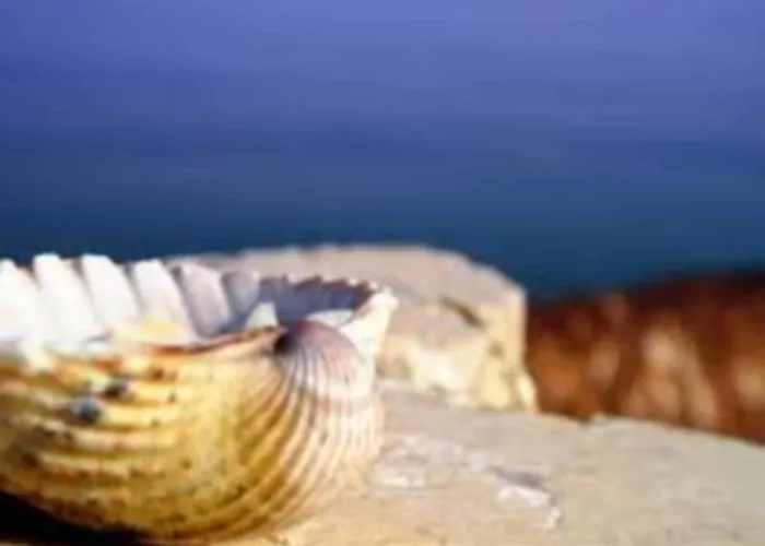 فندق Del Bagnino