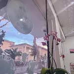 Del Bagnino 2* Римини